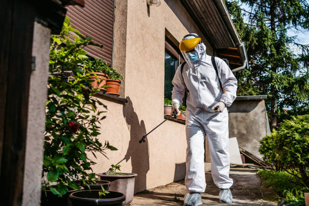 Best Emergency Pest Control  in Wayland, IA