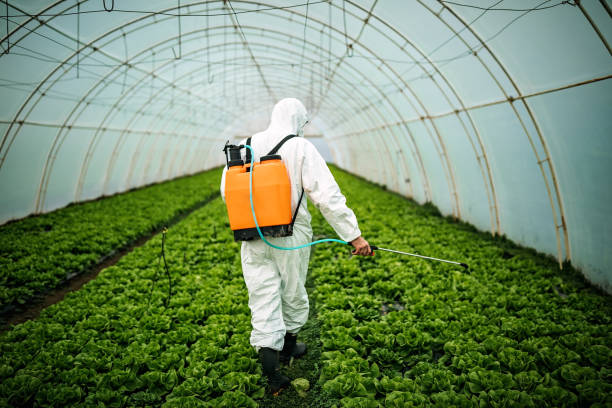 Best Best Pest Control Companies  in Wayland, IA