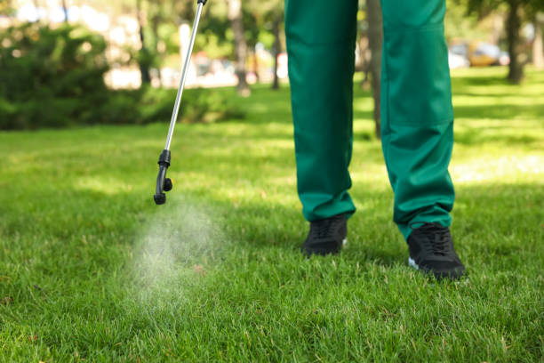 Best Pest Control Treatment  in Wayland, IA