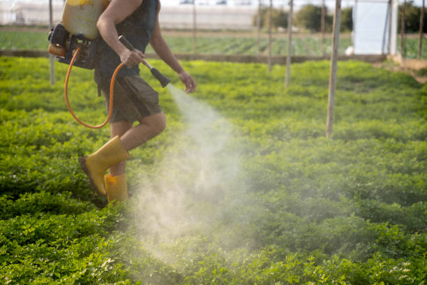 Best Wildlife Control Services  in Wayland, IA