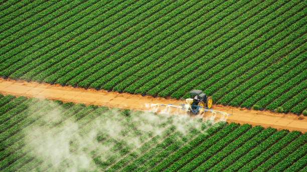 Best Pest Control for Restaurants  in Wayland, IA