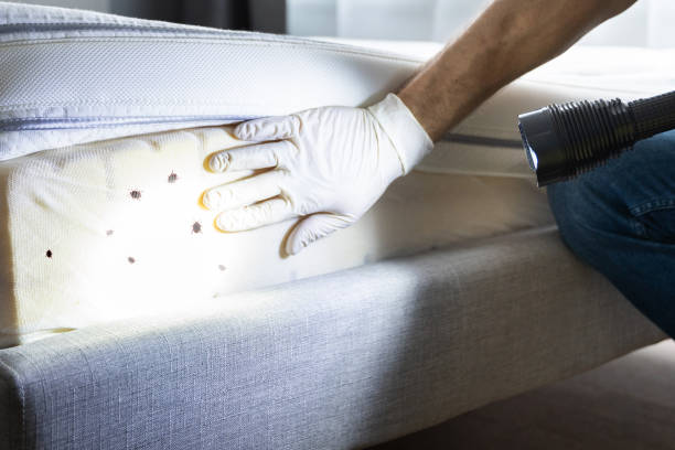 Best Cockroach Control Services  in Wayland, IA
