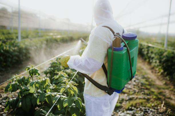 Best Pest Removal Services  in Wayland, IA